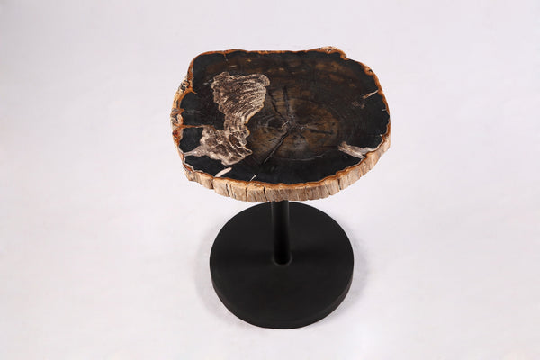 Living Edge Petrified Wood Top w Black Metal Stand Accent Table or Side Table 62