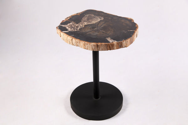 Living Edge Petrified Wood Top w Black Metal Stand Accent Table or Side Table 62