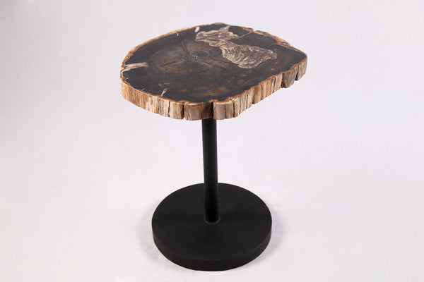 Living Edge Petrified Wood Top w Black Metal Stand Accent Table or Side Table 62