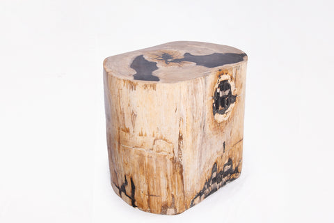 Z-Large Oval Petrified Wood Accent Table or Side Table