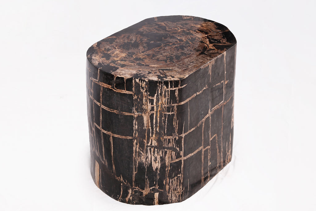 Z-Large Oval Black Petrified Wood Accent Table or Side Table