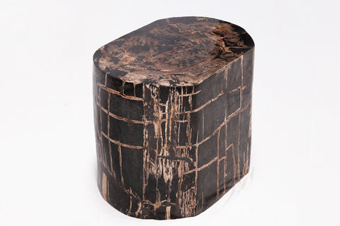 Z-Large Oval Black Petrified Wood Accent Table or Side Table