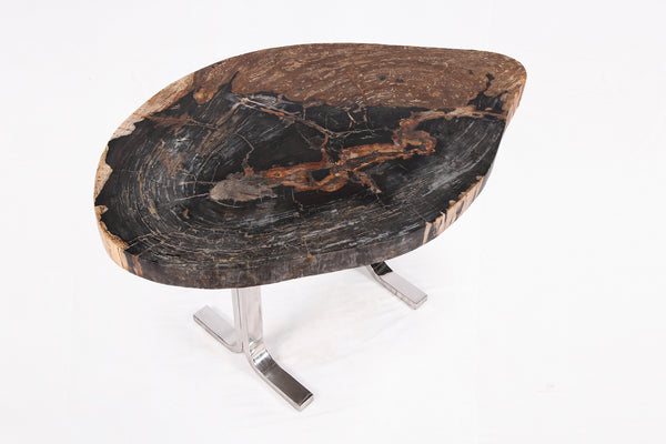 One Slab Living Edge Petrified Wood Console Table w Stainless Stand  52
