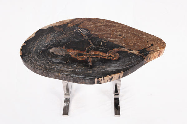 One Slab Living Edge Petrified Wood Console Table w Stainless Stand  52