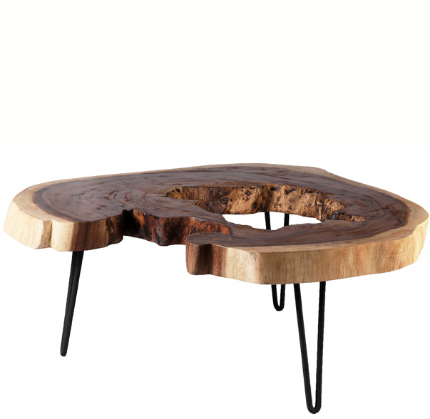 Lake Living Edge Coffee Table 2 - Dyag East