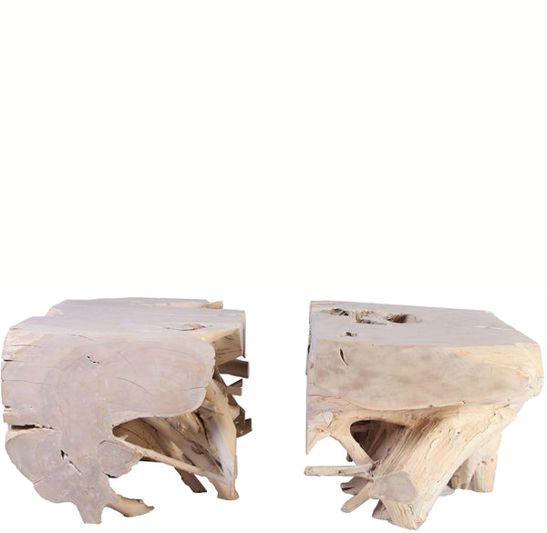 Z-Pair of Sculptured Teak Root Coffee Table Base 2