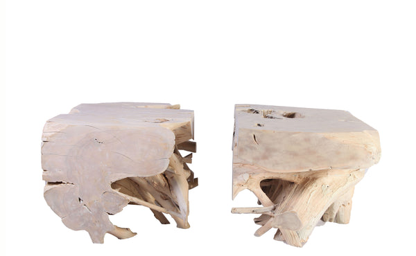 Z-Pair of Sculptured Teak Root Coffee Table Base 2