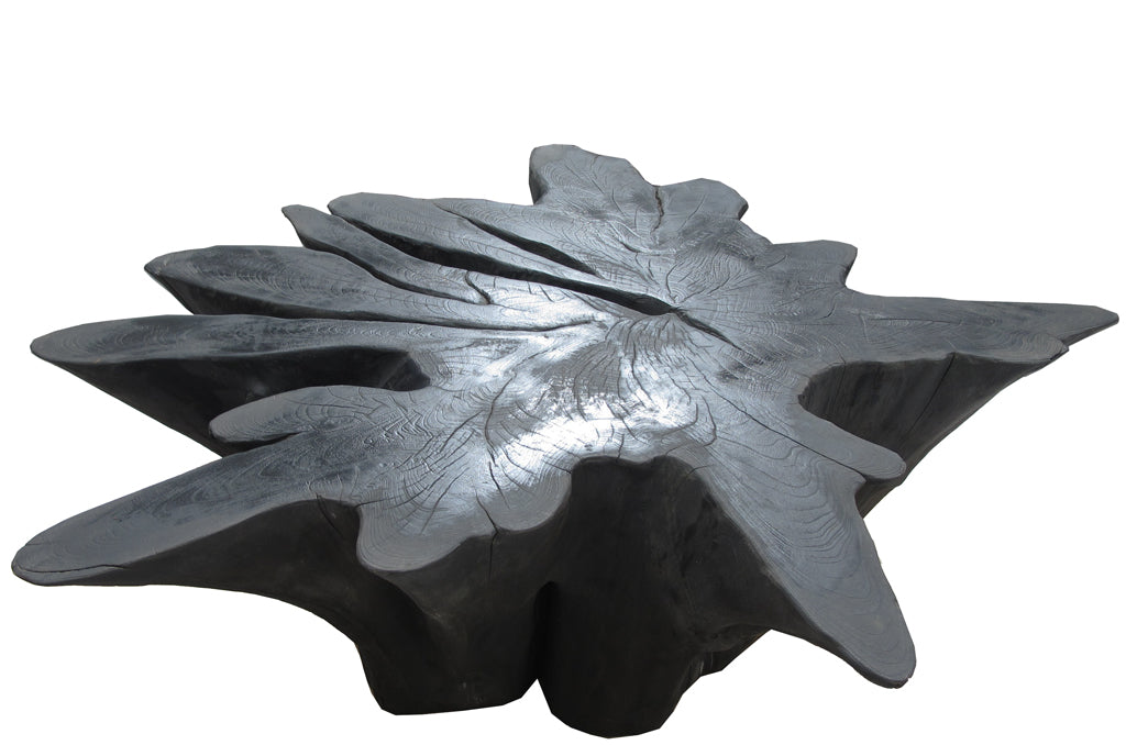 Black Burnt Organic Teak Root  Coffee Table 26