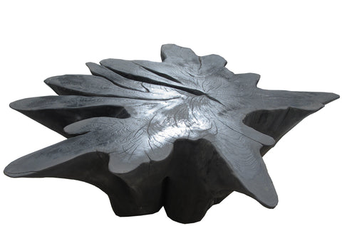 Black Burnt Organic Teak Root  Coffee Table 26