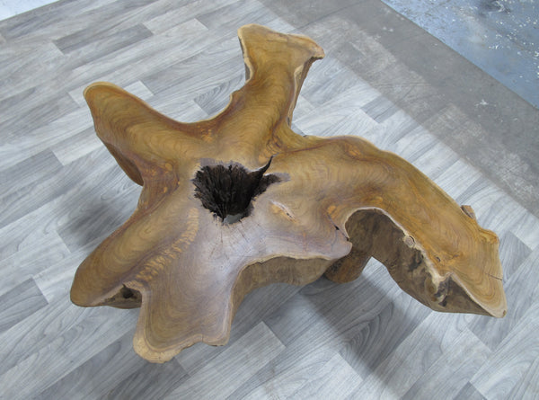 Free Form Brown One Slab Teak Living Edge Coffee Table or Accent Table