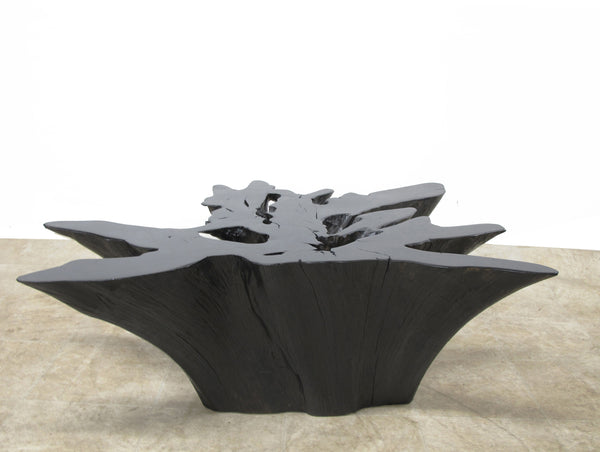 Organic Teak Root Coffee Table in Ebony 46
