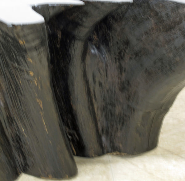 Organic Teak Root Coffee Table in Ebony 46
