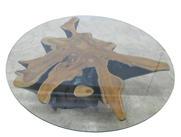 Organic Star Teak Root Coffee Table or Accent Table 59
