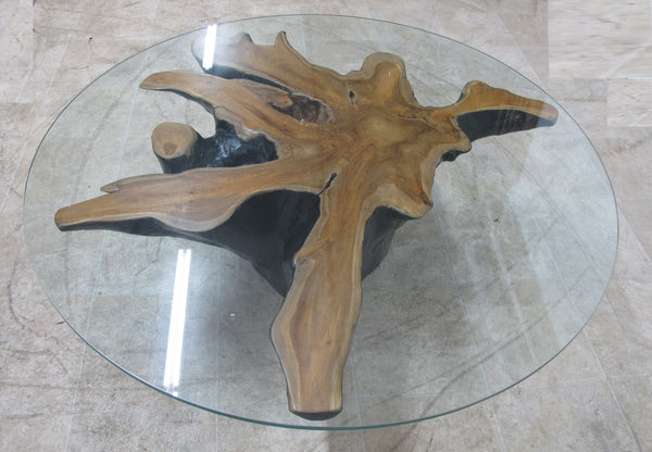 Organic Star Teak Root Coffee Table or Accent Table 59