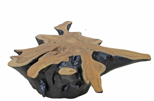 Organic Star Teak Root Coffee Table or Accent Table 59
