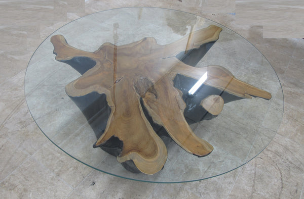 Organic Star Teak Root Coffee Table or Accent Table 59