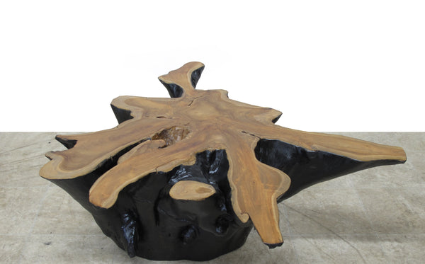 Organic Star Teak Root Coffee Table or Accent Table 59