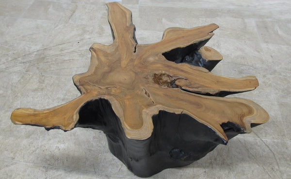 Organic Star Teak Root Coffee Table or Accent Table 59