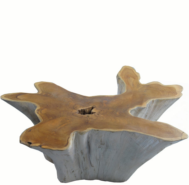 Organic Teak Root Coffee Table with Two Tones 74