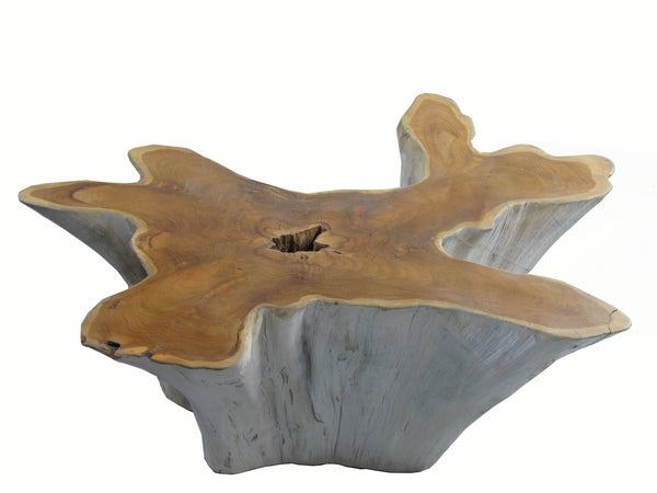 Organic Teak Root Coffee Table with Two Tones 74