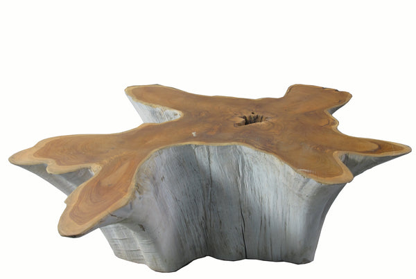 Organic Teak Root Coffee Table with Two Tones 74