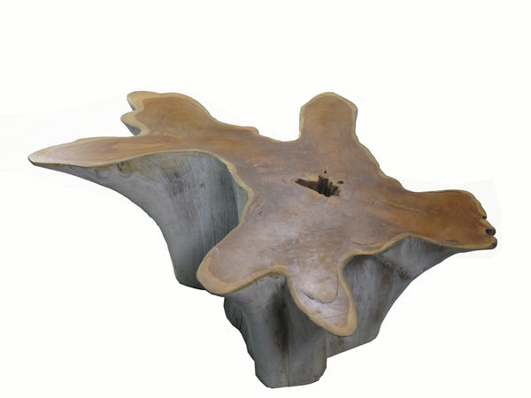 Organic Teak Root Coffee Table with Two Tones 74