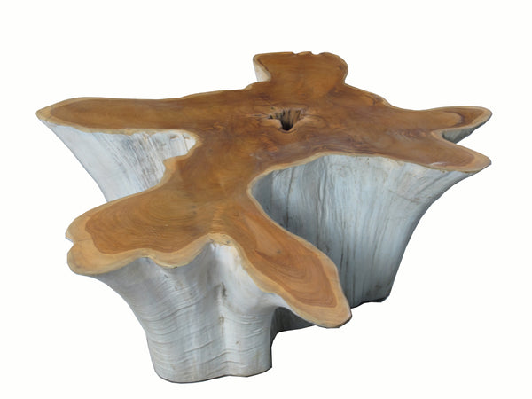 Organic Teak Root Coffee Table with Two Tones 74