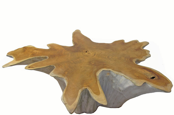 Organic Teak Root Coffee Table with Two Tones 75