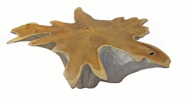 Organic Teak Root Coffee Table with Two Tones 75