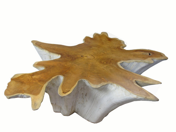 Organic Teak Root Coffee Table with Two Tones 75