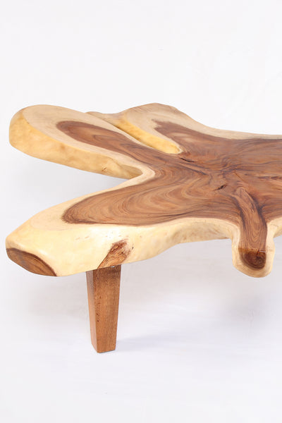 95" Long Free Form One Slab Living Edge Coffee Table 10