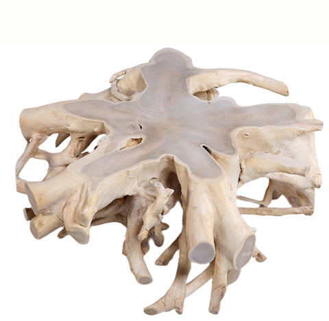 Round  White Teak Root Coffee Table 20