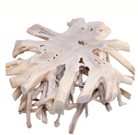 Round  White Teak Root Coffee Table 21