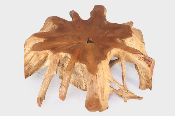 Round 36" Inch Organic Teak Root Coffee Table 27