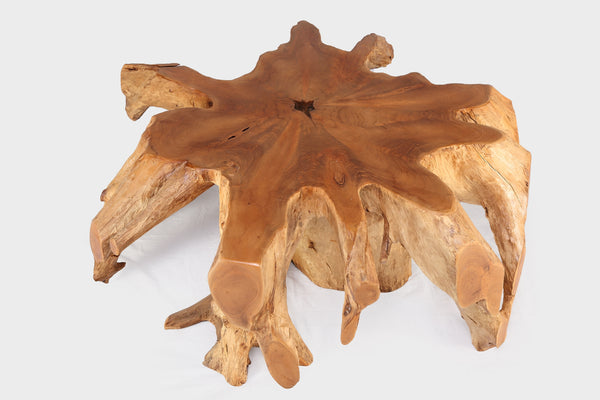 Round 36" Inch Organic Teak Root Coffee Table 27