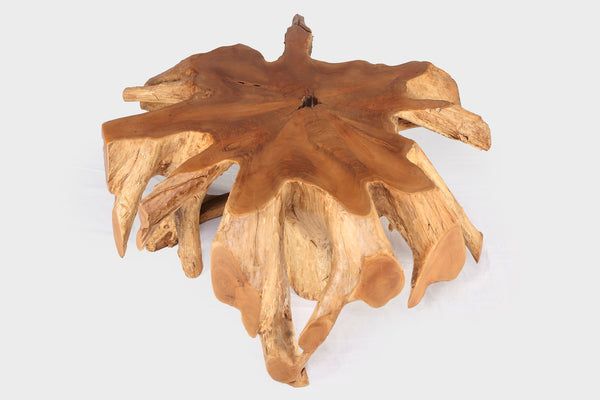Round 36" Inch Organic Teak Root Coffee Table 27