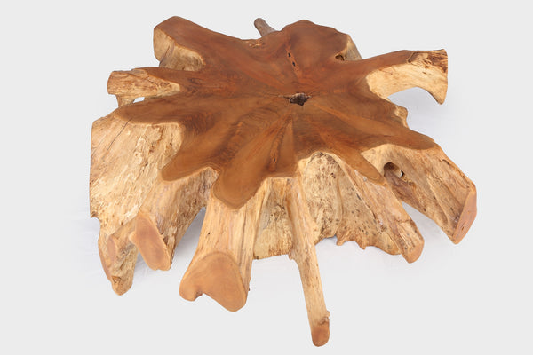 Round 36" Inch Organic Teak Root Coffee Table 27
