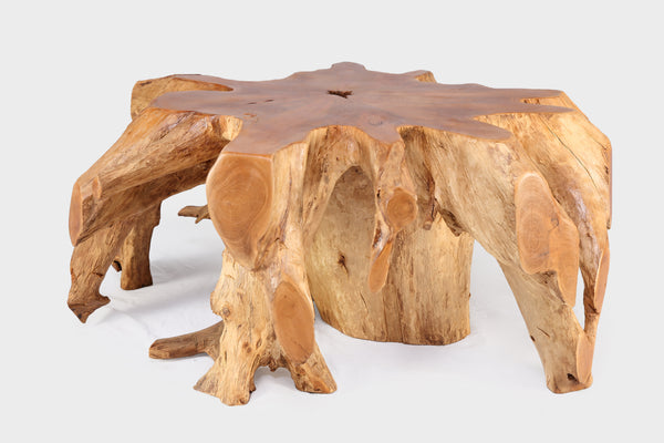 Round 36" Inch Organic Teak Root Coffee Table 27