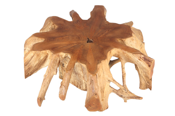 Round 36" Inch Organic Teak Root Coffee Table 27