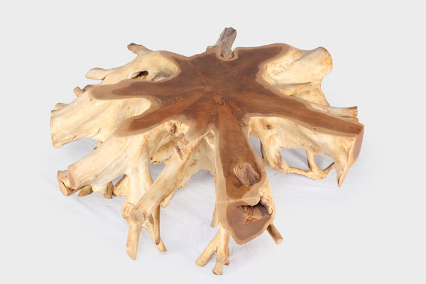 Round 36" Inch Organic Teak Root Coffee Table 28