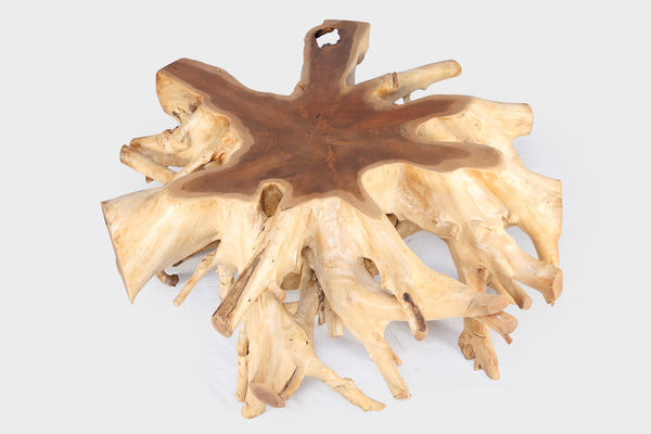 Round 36" Inch Organic Teak Root Coffee Table 28