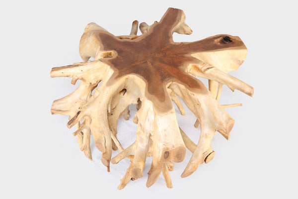 Round 36" Inch Organic Teak Root Coffee Table 28