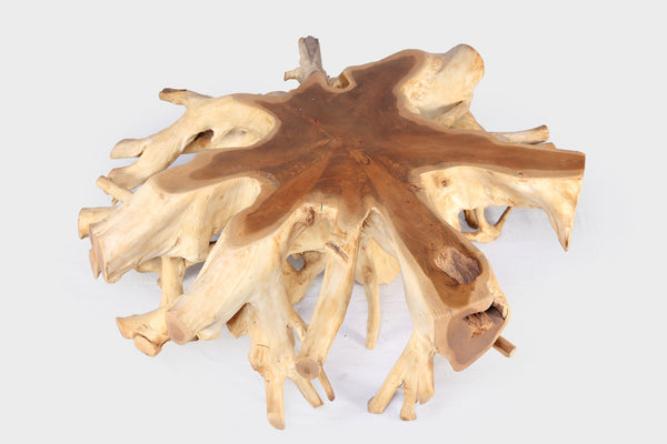 Round 36" Inch Organic Teak Root Coffee Table 28