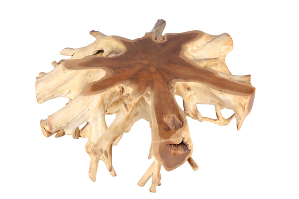Round 36" Inch Organic Teak Root Coffee Table 28