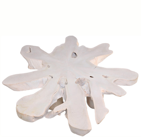 White Organic Teak Root Coffee Table 38