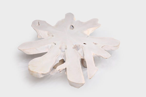 White Organic Teak Root Coffee Table 38