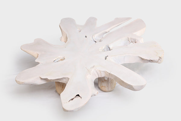 White Organic Teak Root Coffee Table 38