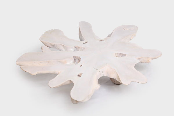 White Organic Teak Root Coffee Table 38