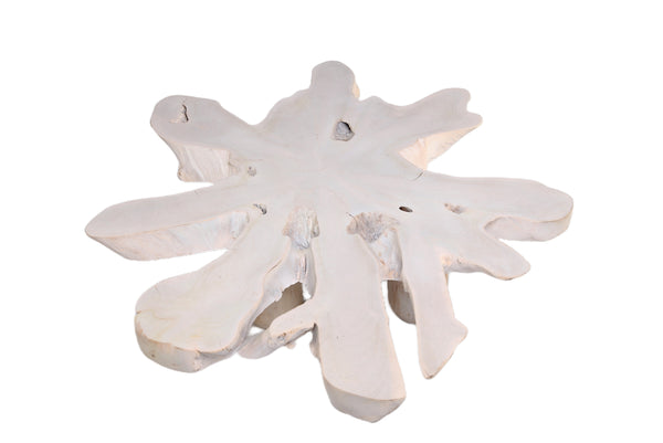 White Organic Teak Root Coffee Table 38