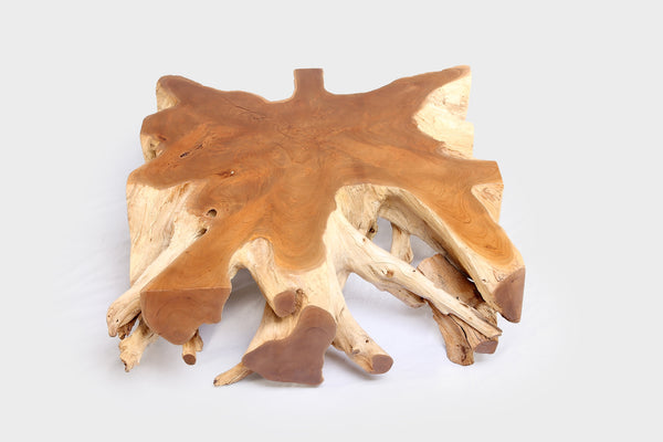 Square 36" Inch Organic Teak Root Coffee Table 52